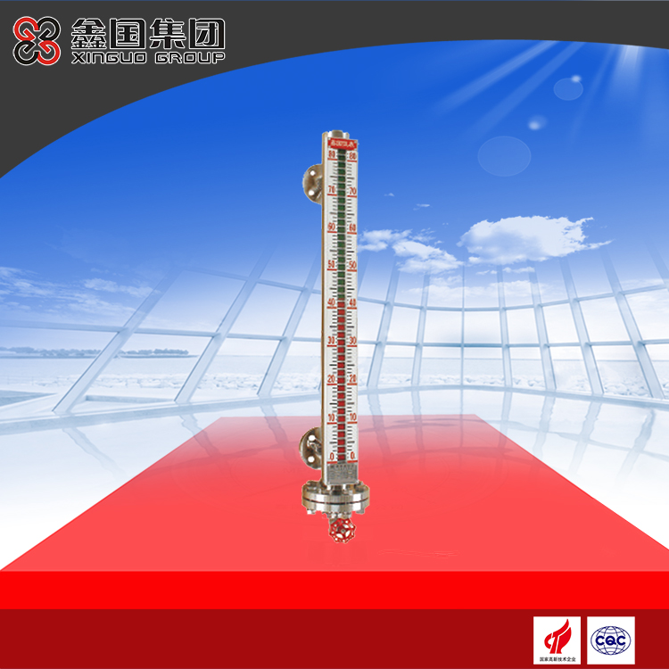 UZC-A02F高温高压型磁性液位计